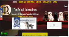 Desktop Screenshot of desoleillabradors.com